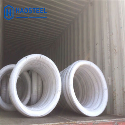 304 316L 410 0,07mm 0,13mm 1mm 2mm μαλακό σύρμα από ανοξείδωτο χάλυβα EN/AISI